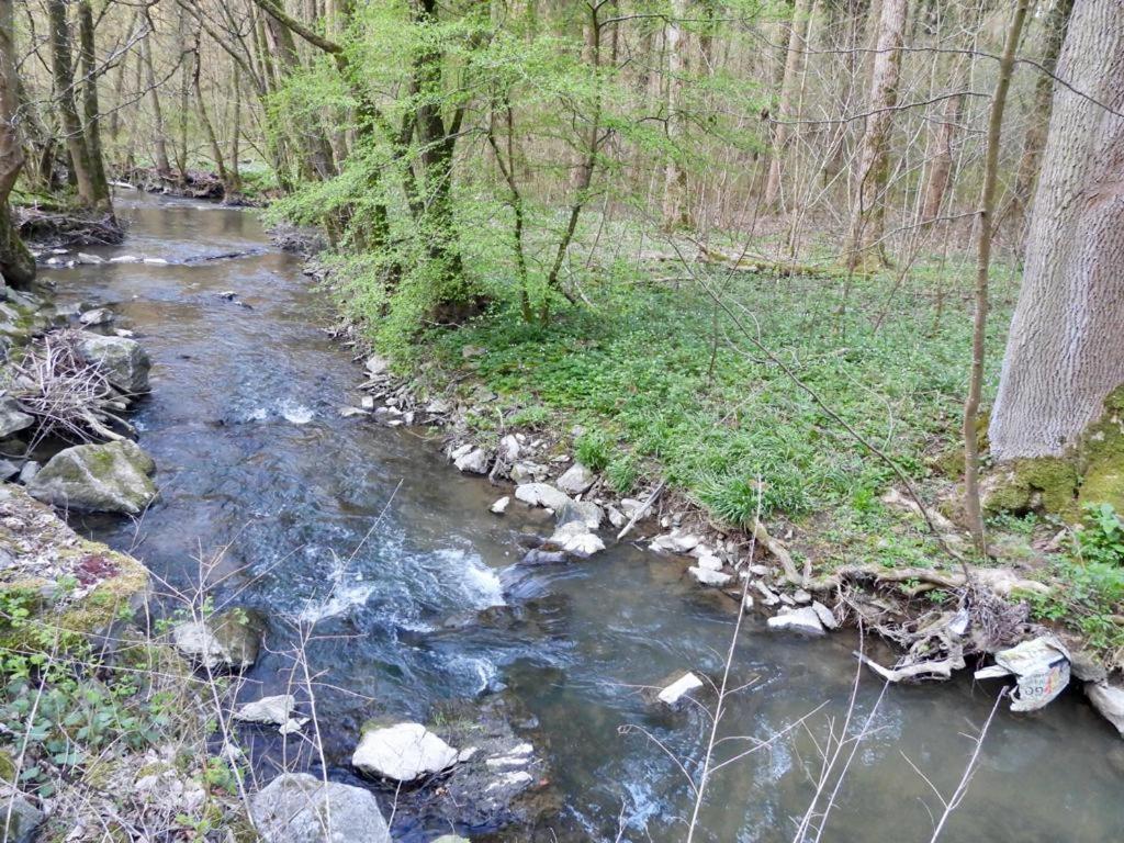 'T Egeltje Ardennen Chalet 133 Durbuy Zewnętrze zdjęcie